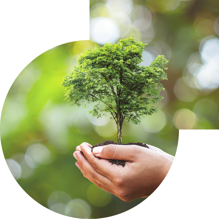 關懷人類、文化、環境與社會